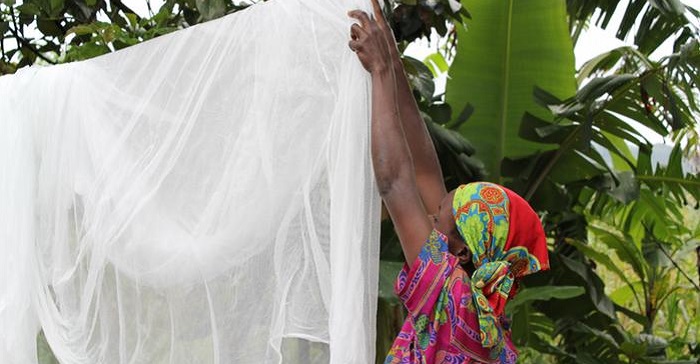 how to wash mosquito net